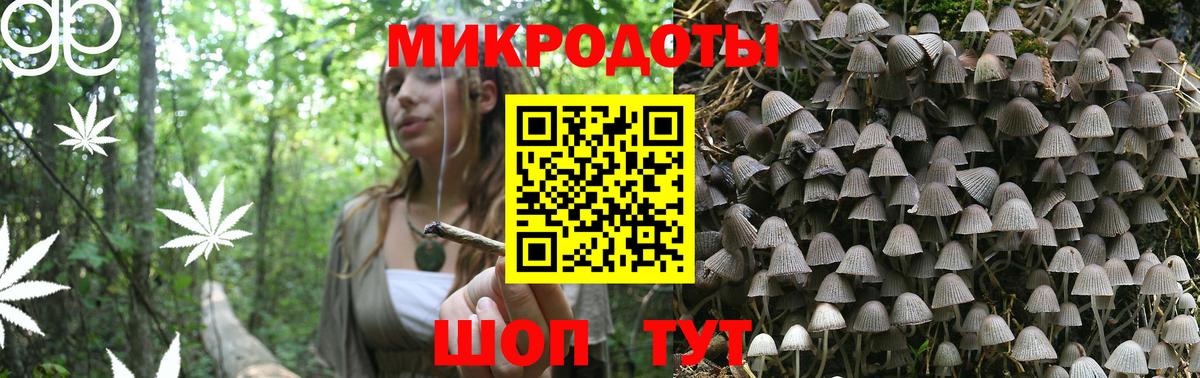Тихорецк  Псилоцибиновые грибы Psilocybine cubensis  Вход с VPN 